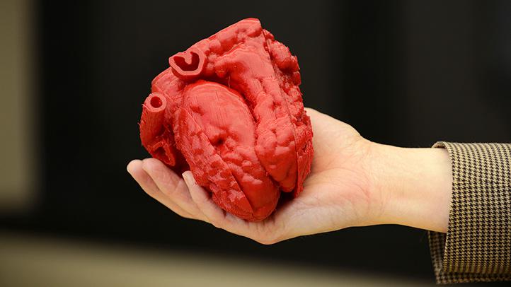 پرینت سه بعدی اعضای بدن انسان